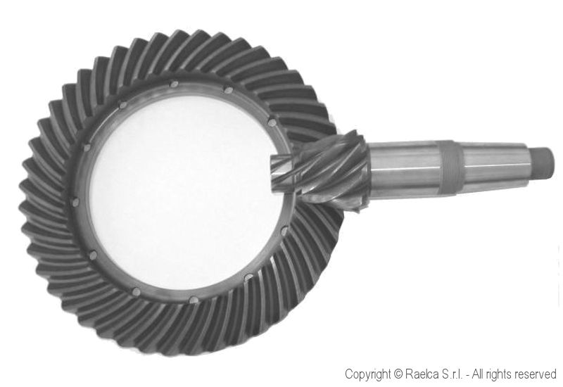 Ingranaggio spiroid